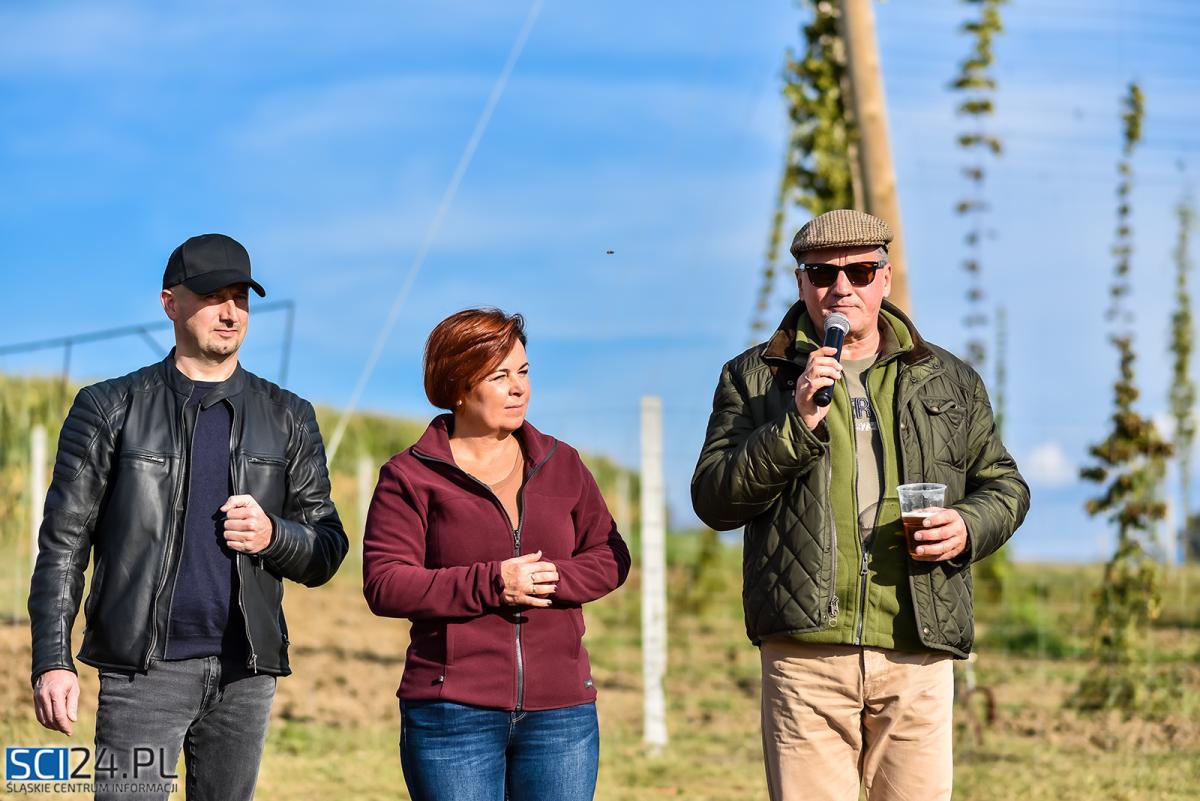 Drugie chmielobranie Browaru Zamkowego Cieszyn